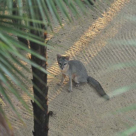 Hotel Sabal Beach Monkey River Town Exterior foto