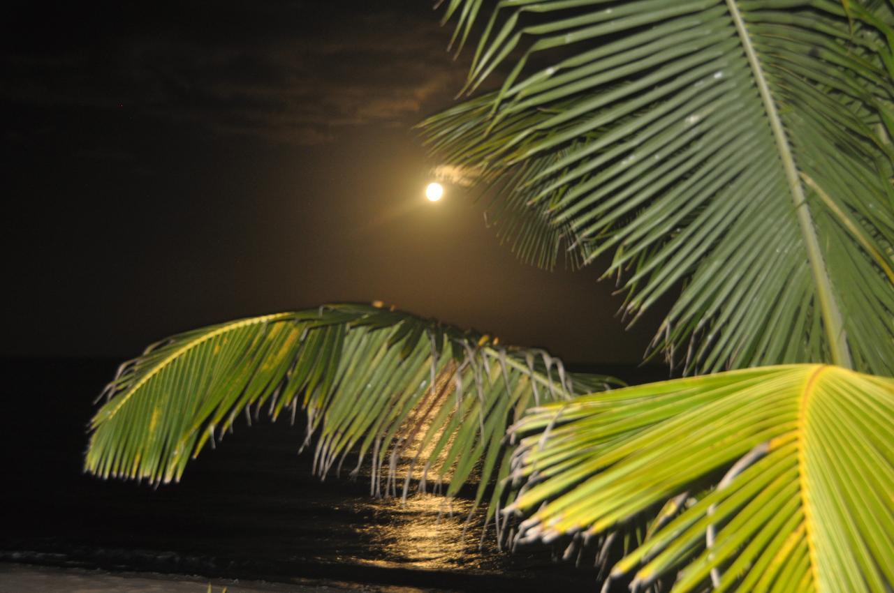 Hotel Sabal Beach Monkey River Town Exterior foto
