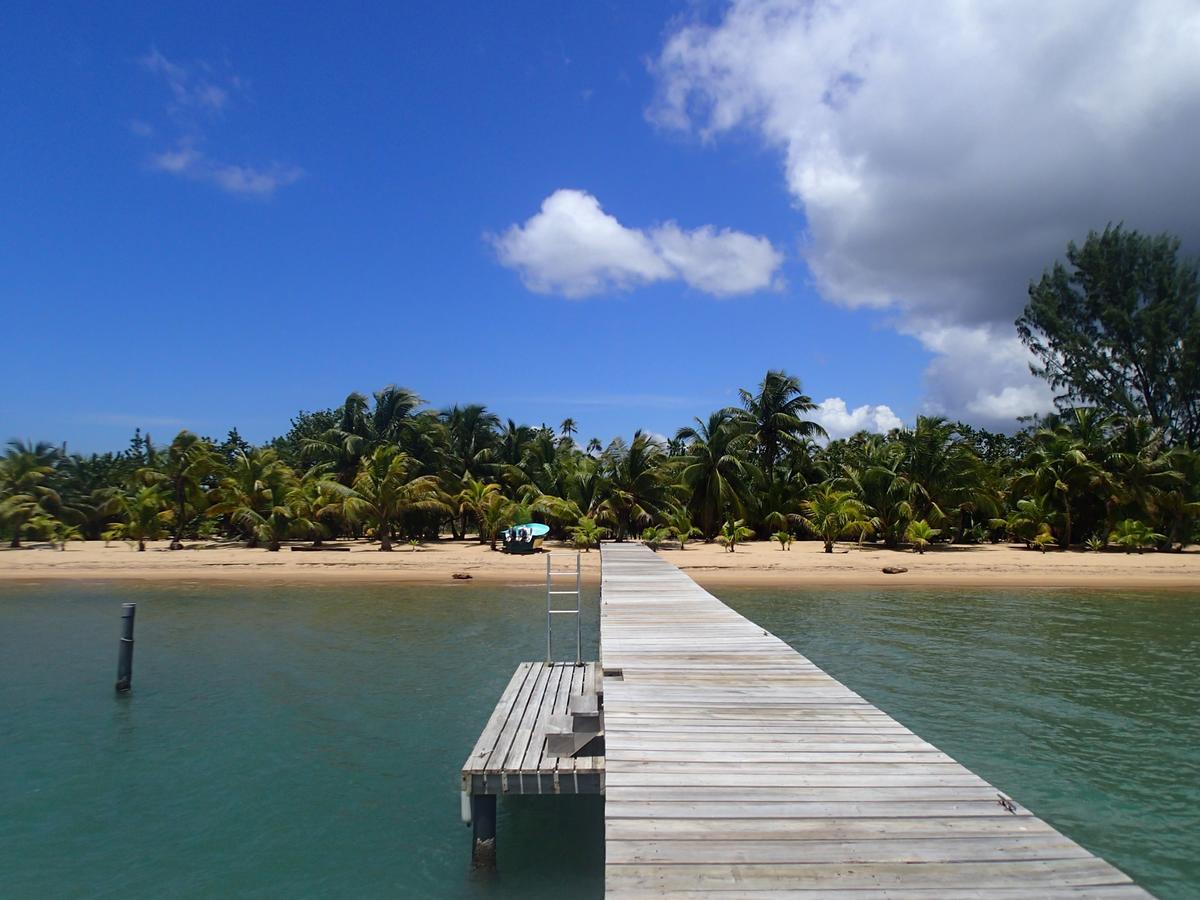 Hotel Sabal Beach Monkey River Town Exterior foto