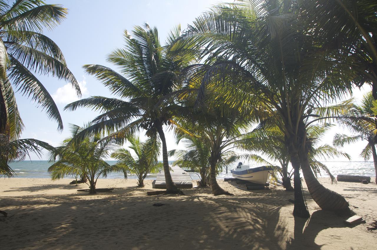 Hotel Sabal Beach Monkey River Town Exterior foto