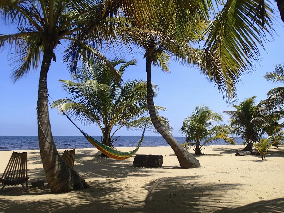 Hotel Sabal Beach Monkey River Town Exterior foto